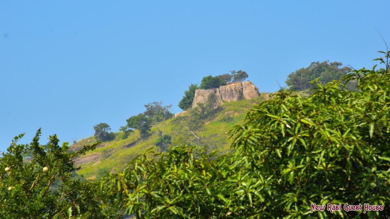 New Rasi Guest House Dambulla Buitenkant foto
